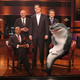 Image for article titled Kotaku 'Shop Contest: Hide The Megalodon: The Winners!